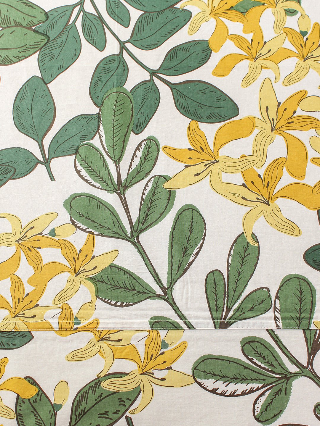 Moringa Green Dohar Cover