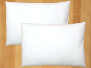 Solid Set Of 2 Pillow Fillers (White)