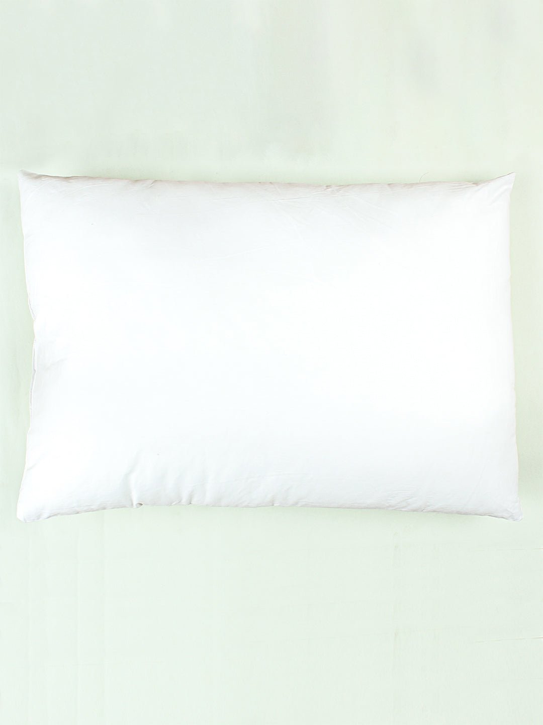 Solid Set Of 2 Pillow Fillers (White)