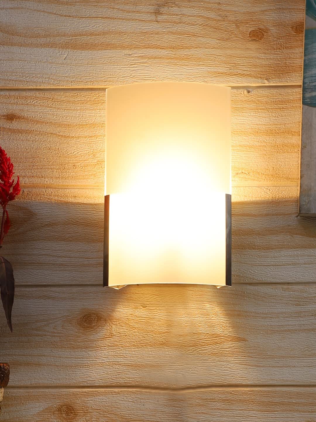 Single Milky Glass Wall Mounted lamp (T01)