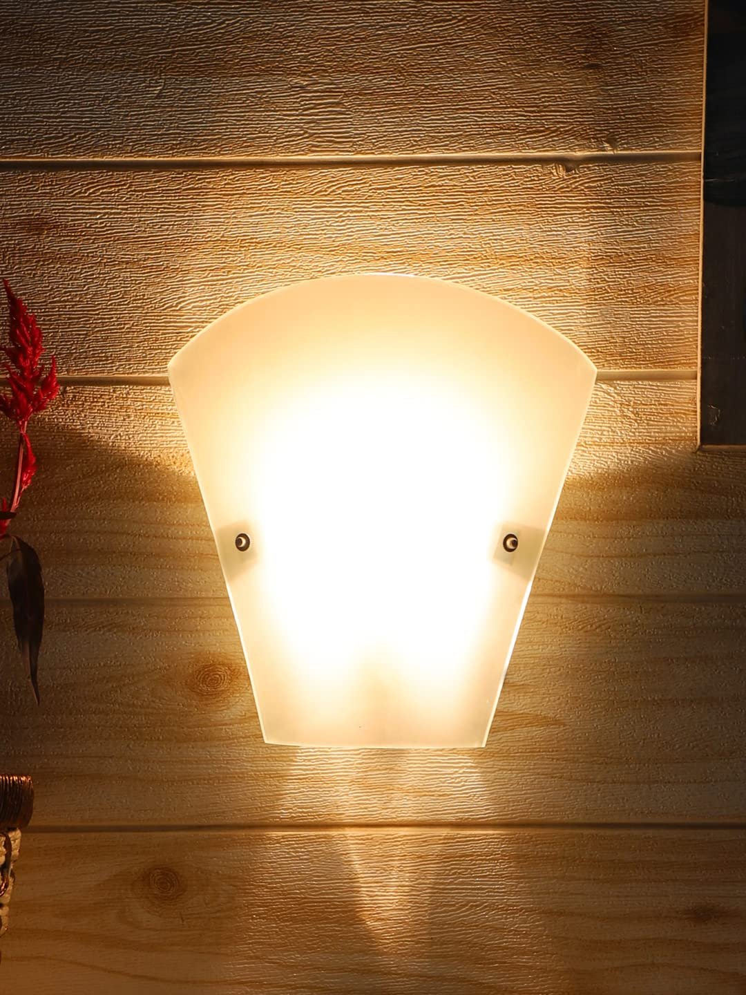 V Shape Milky Glass Wall Mounted lamp (T03)