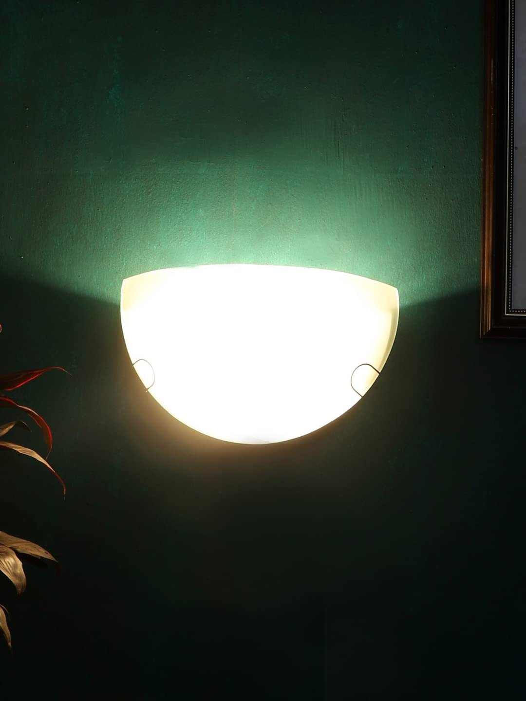 Milky Half Glass Uplighther Wallmounted Lamp (T11)