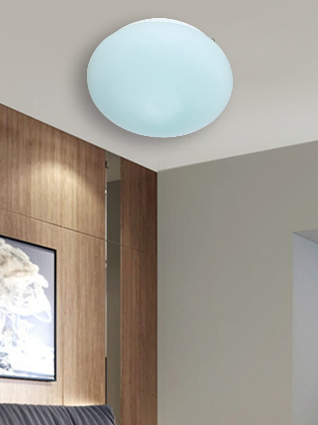 Milky Glass Flush Mounted Lamp