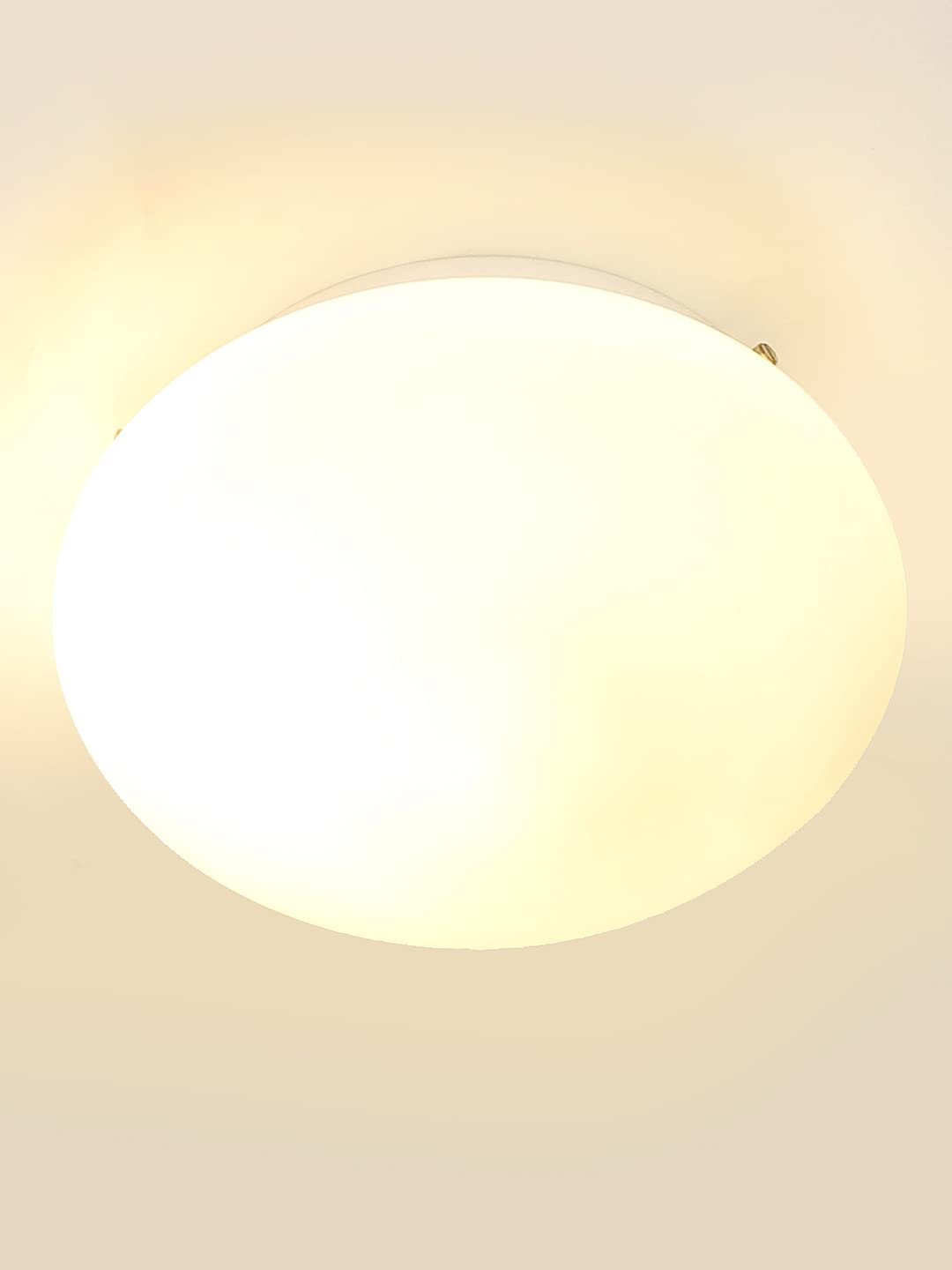 Milky Glass Flush Mounted Lamp