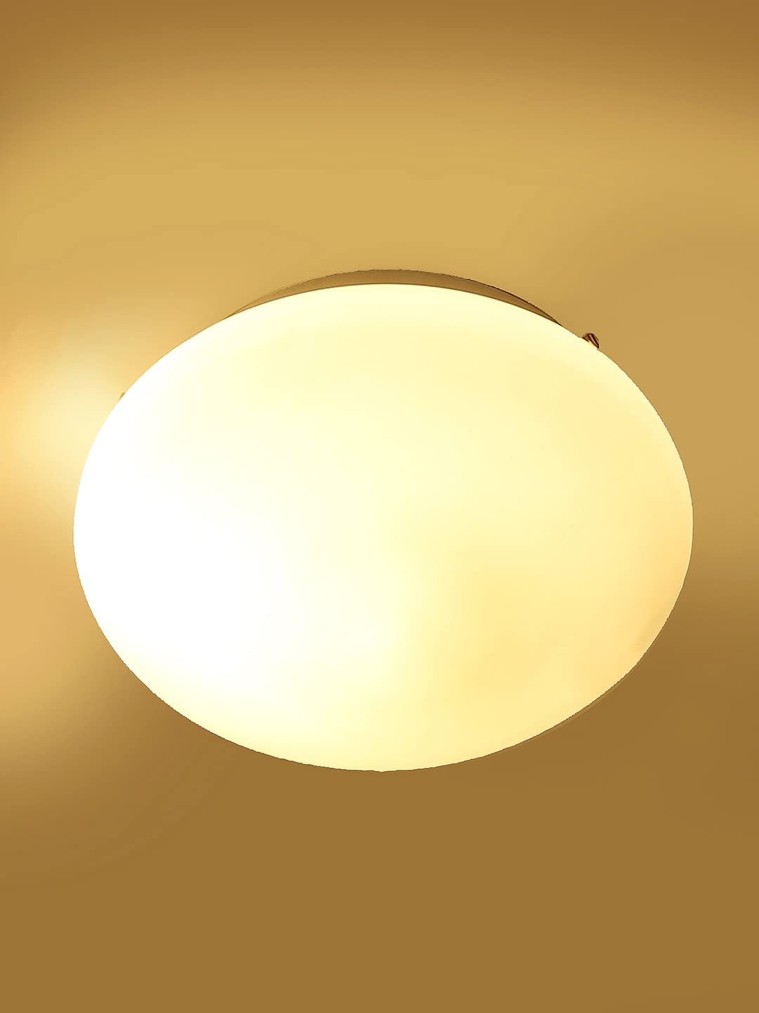 Milky Glass Flush Mounted Lamp