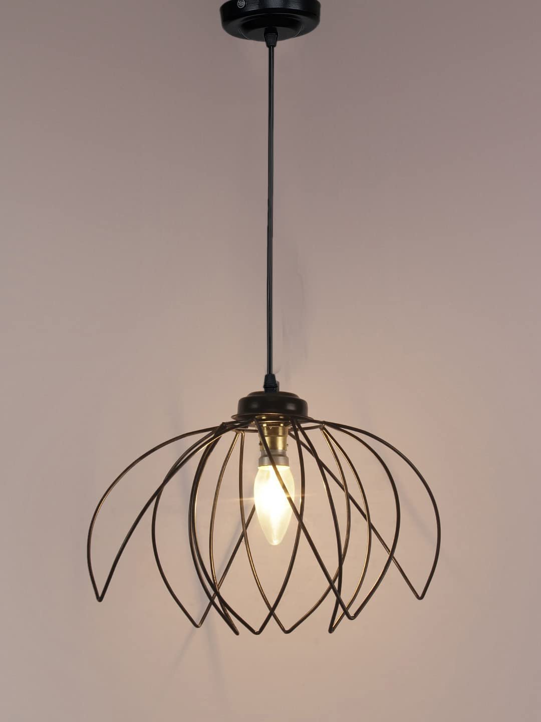 Rose Iron Hanging lamp