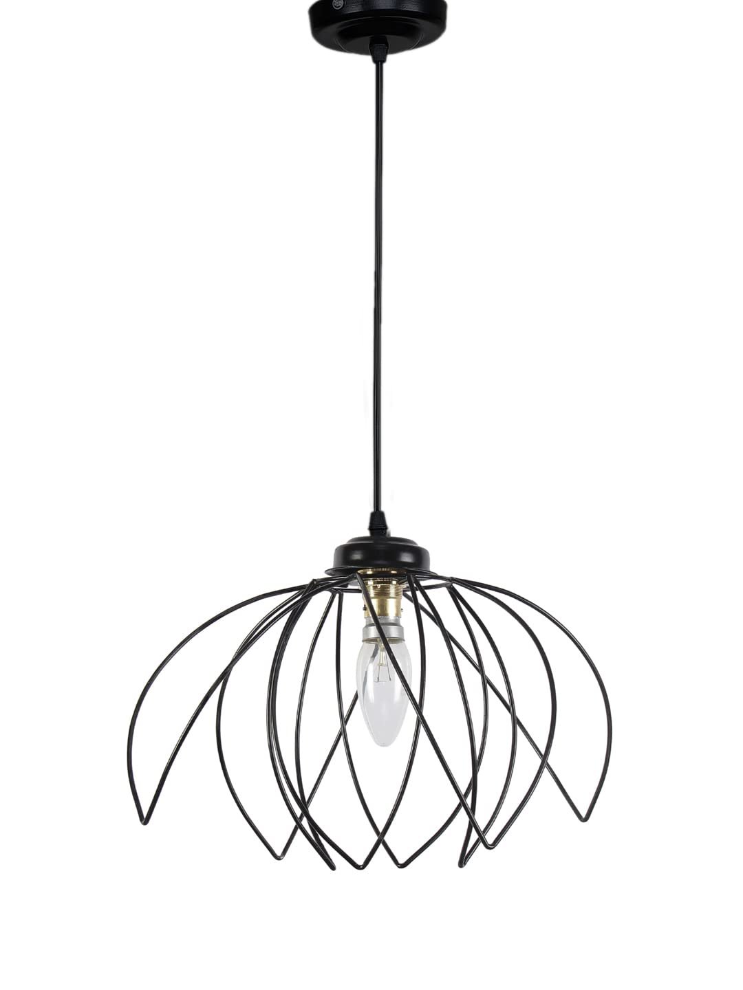 Rose Iron Hanging lamp
