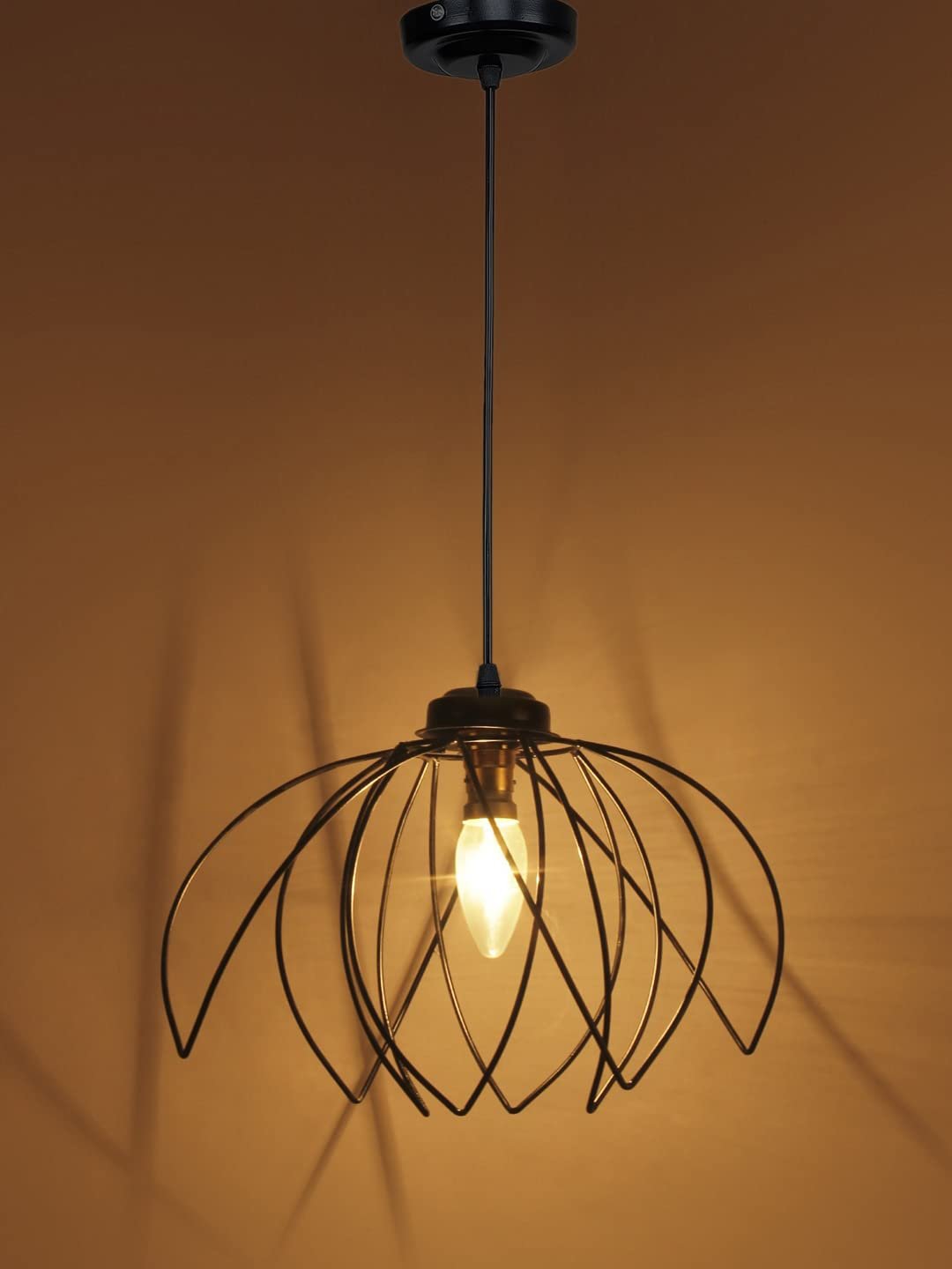 Rose Iron Hanging lamp