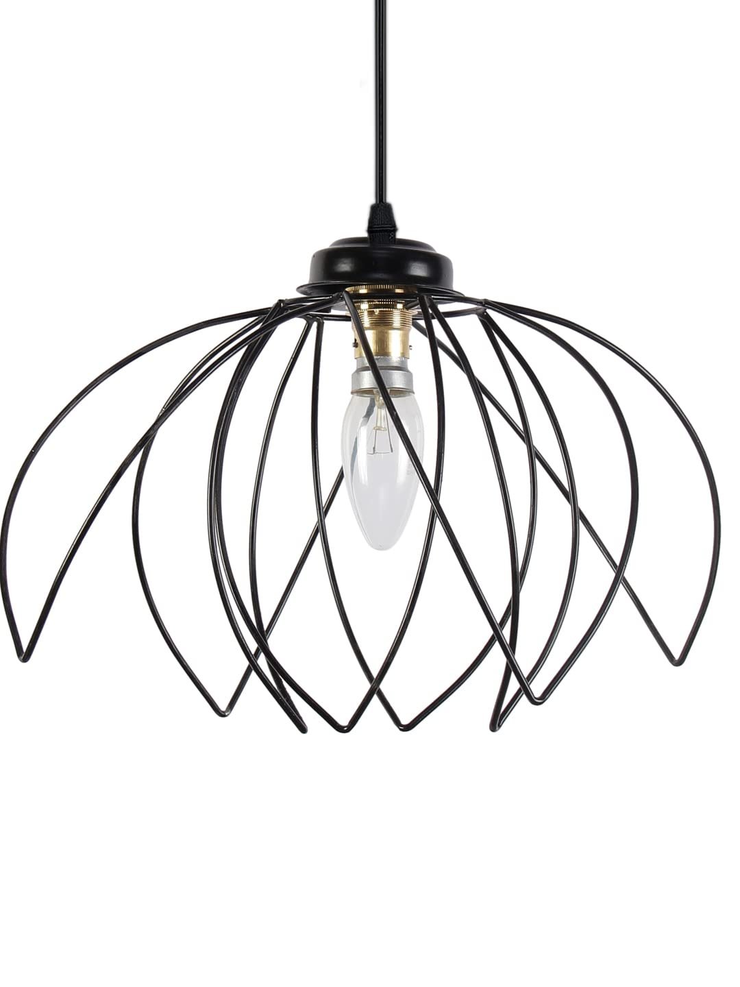 Rose Iron Hanging lamp